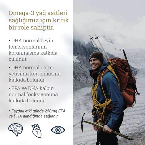 Ballstad Omega-3 Balık Yağı ( 3’lü Paket ) Saklama Kutulu - Görsel 6