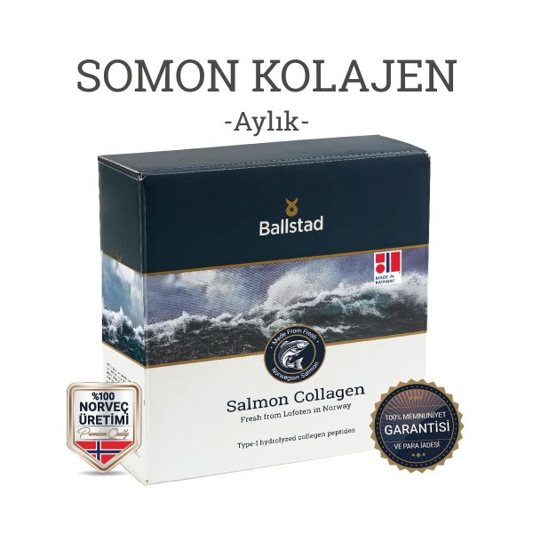 Ballstad-Somon-Kolajeni-kutu-1.jpg
